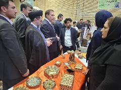 در حاشیه اولین رویداد گلریزان اجتماعی در استان فارس در حاشیه اولین رویداد گلریزان اجتماعی در استان فارس