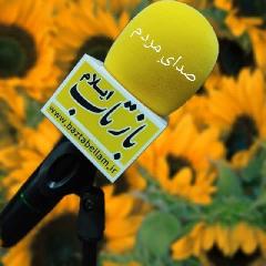 سارقان آرامش را از مردم این شهر گرفته اند/دستگیر و قاطعانه برخورد کنید