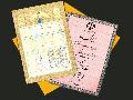بیش از ۹۶ درصد اراضی و املاک دولتی اردبیل سنددار شد