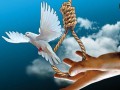 بخشش محکوم به قصاص در دماوند همزمان با ایام عزاداری حضرت سیدالشهدا (ع)
