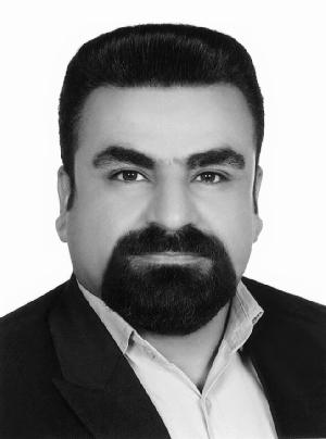 مجتبی محمدی 
